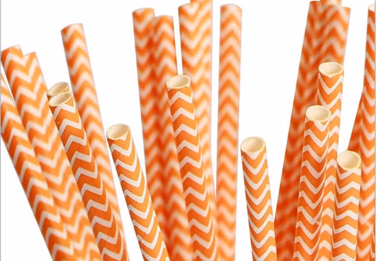 Eco-Friendly Compostable Disposable PLA Biodegradable Straw Disposable Products