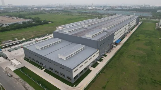 Gants médicaux jetables en vinyle, sans poudre/sans poudre